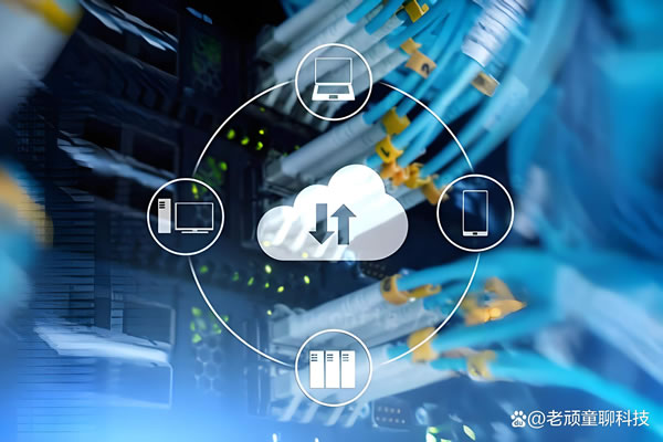 Impact And Response To The German Server Confiscation Incident